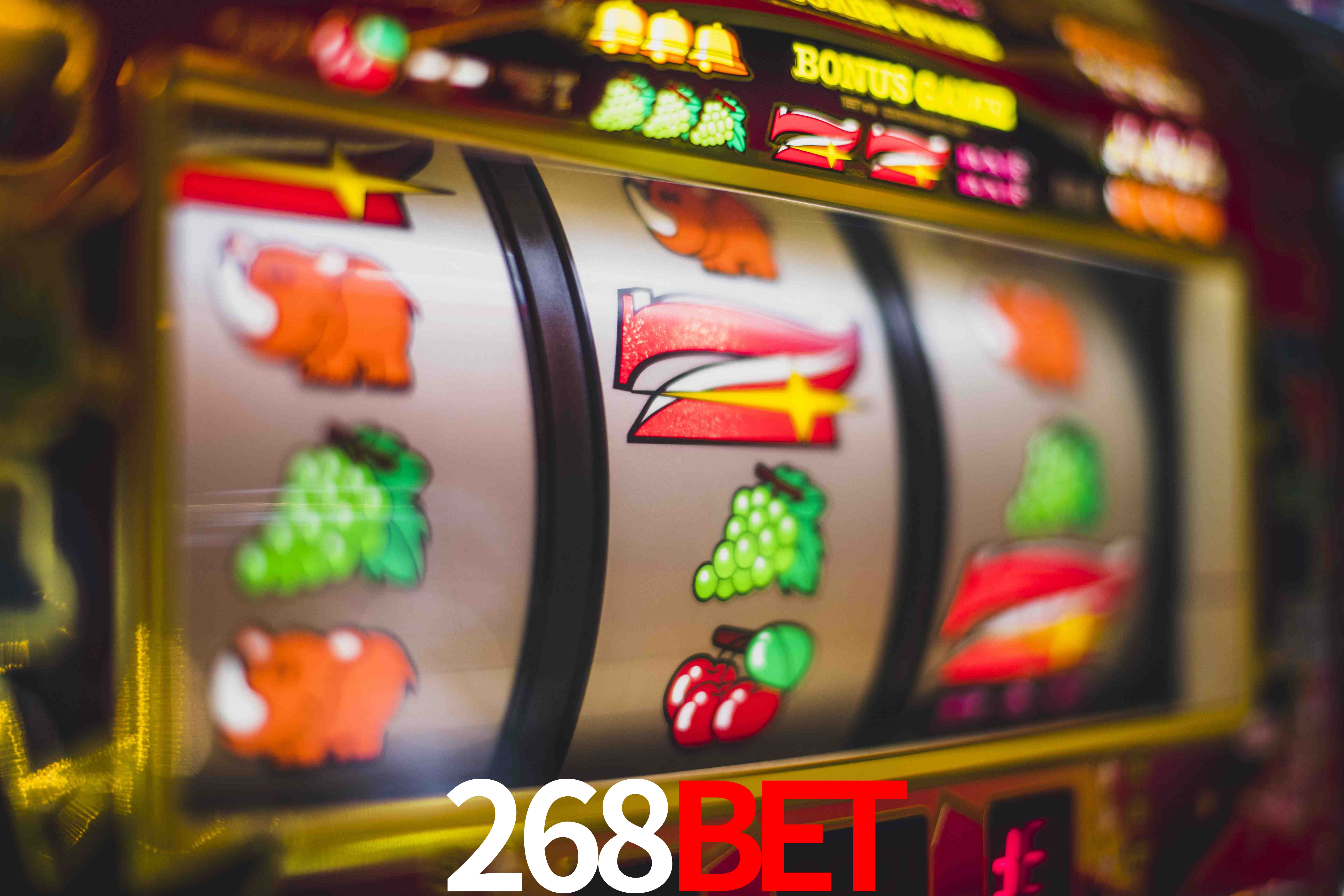 Sports Statistics 268bet